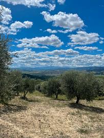 Campagna (Stigliano, MT)