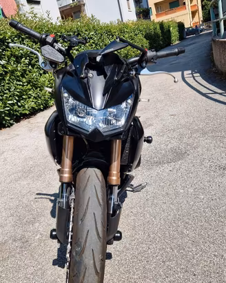 Kawasaki Z 750 R Black Edition 2012 INCIDENTATA
