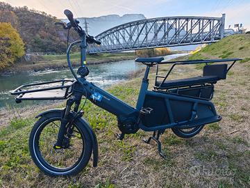 Bicicleta electrica premium porta bambini  