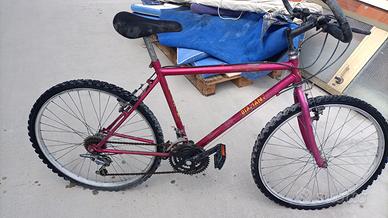 Mountain bike