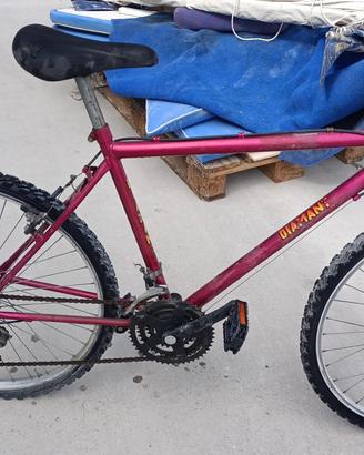 Mountain bike