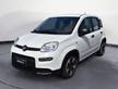 FIAT Panda 1.0 FireFly 70cv S&S Hybrid