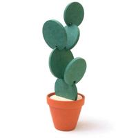 cactus sottobicchieri