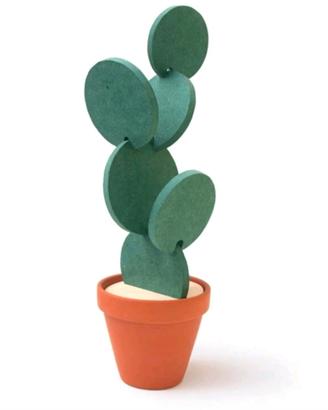 cactus sottobicchieri
