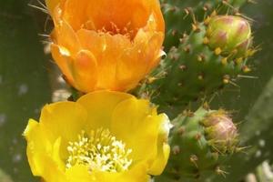 Ogliastra mare montagna 3 minuti in spiaggia
