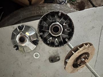 Selettra polini e variatore 101