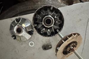 Selettra polini e variatore 101