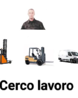 Carrellista pratico operaio magazziniere