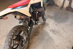 beta rr 50