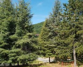 Appartamento in montagna