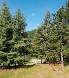 Appartamento in montagna