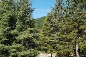 Appartamento in montagna