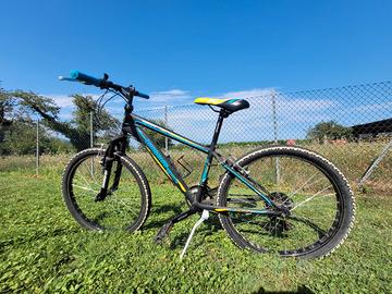 Mountain bike ragazzo/a Lombardo 24"