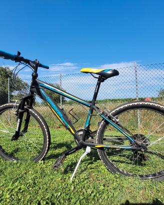 Mountain bike ragazzo/a Lombardo 24"