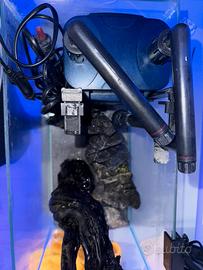 Acquario 40x20x25 completo – usato