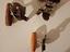 Immagine 1