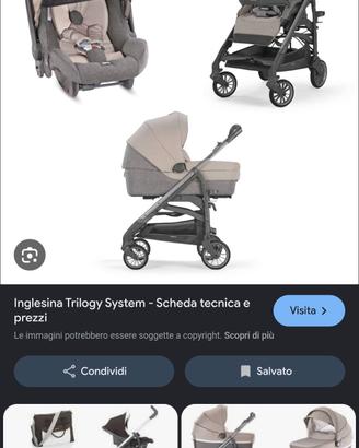 Trio Inglesina Trilogy