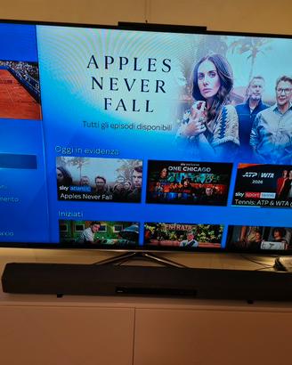 tv UHD Samsung 55 pollici