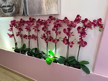 Orchidee finte