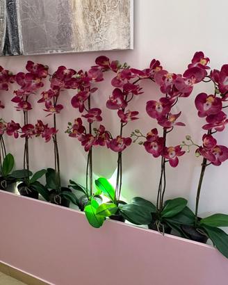 Orchidee finte