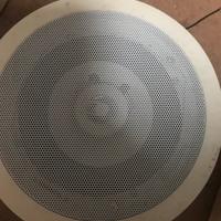 2 Altoparlanti pre amplificati