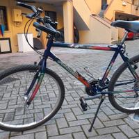 MOUNTAIN BIKE UOMO