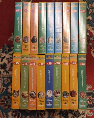 Videocassette il magico mondo degli animali Disney
