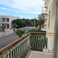 50 metri dal mare prima fila pineta