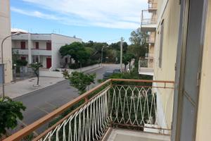 50 metri dal mare prima fila pineta