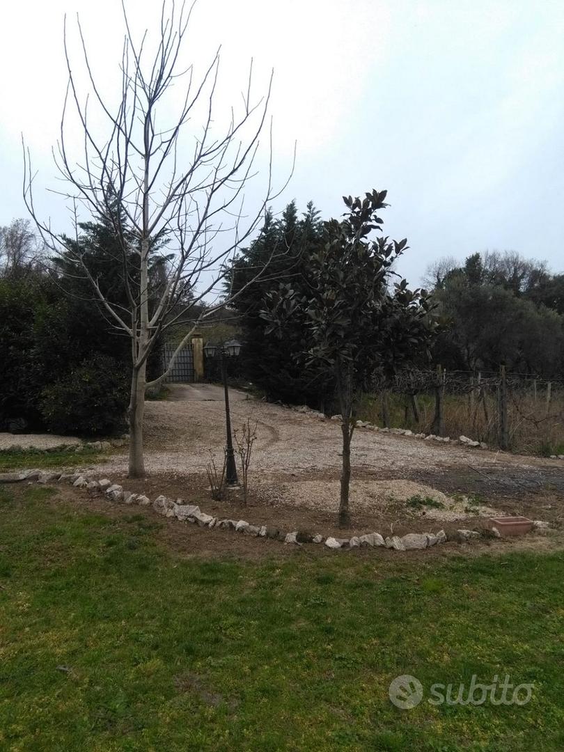 Terreno a Grottaferrata - Vista 2