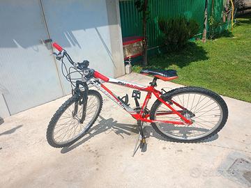 bici bottecchia