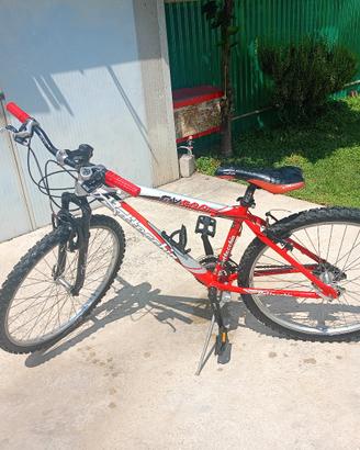 bici bottecchia