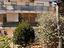 Immagine 21