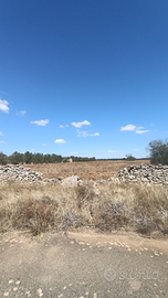 Terreno agricolo a Scorrano