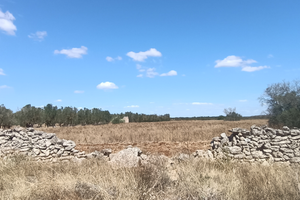 Terreno agricolo a Scorrano