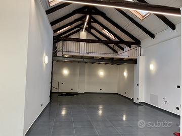 Piazza statuto pressi signorile elegante loft