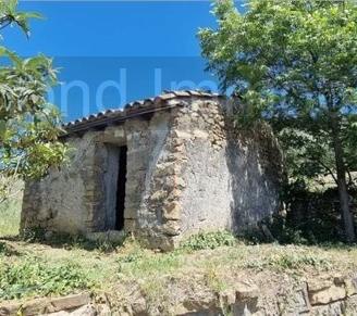 Terreno 10.000mq con rustici a Calatabiano