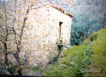 Terreno con rudere