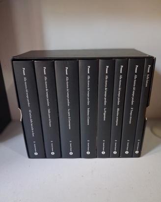 Proust alla ricerc del tempo perduto 