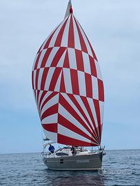 Barca a vela Elan 394