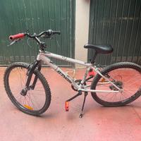 Bicicletta da ragazzo