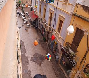 Ampio appartamento con giardino