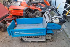 MOTOCARRIOLA BERTOLINI 450KG