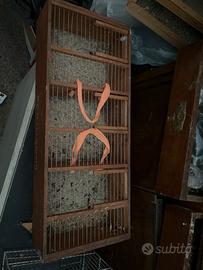 Trasportino volatili