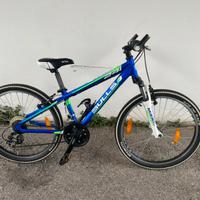 Bicicletta da bimbo 24”