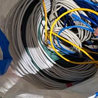 matasse cavi Lan Cat 6, 5e