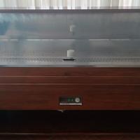 espositore per pesce 