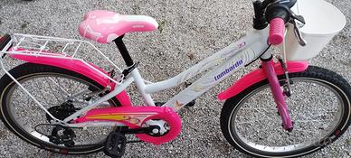 Lombardo Cremona 20