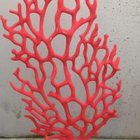 Coralli per vetrina e decorazioni