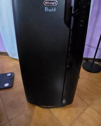 climatizzatore  pinguino PAK EX 120 silent